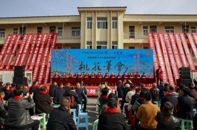 绣桃园绘就振兴新画卷安徽萧县刘套镇：锦(图2)